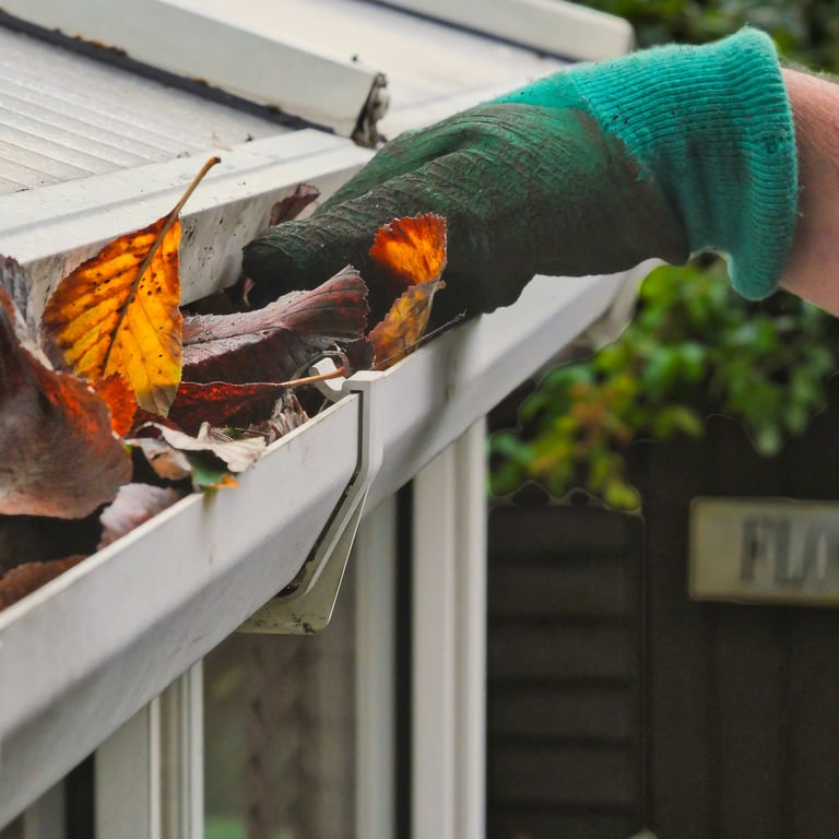 Professional window service